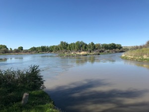 Confluence of Little Bighorn and Bighorn Rivers